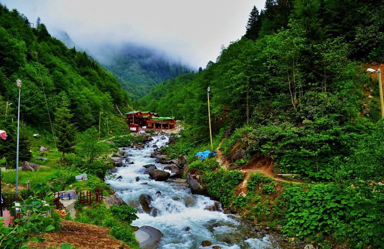 RİZE - AYDER